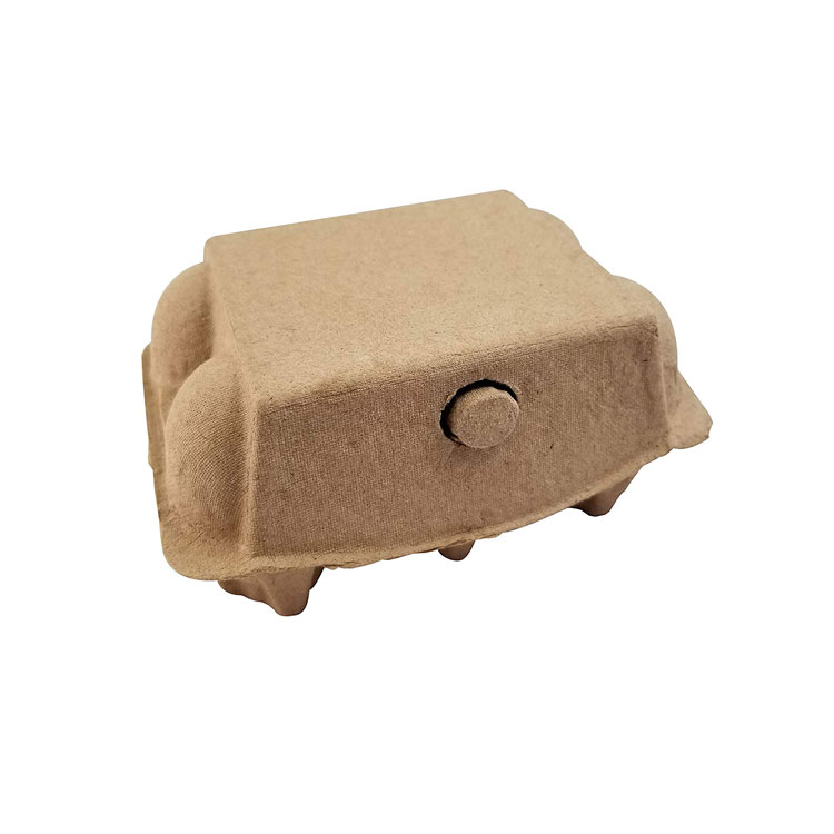 6 Egg Packaging biodegradable Paper Pulp Egg Box Carton