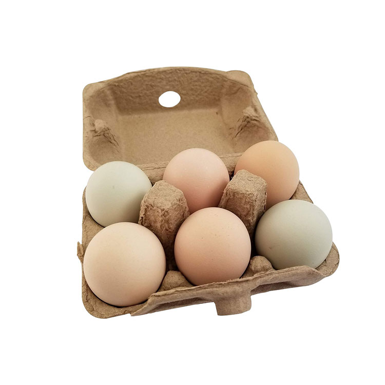 6 Egg Packaging biodegradable Paper Pulp Egg Box Carton