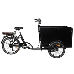 Kuake new design Heavy loading electric bicycle cargo bike adults electric tricycle 3 wheels bike three wheel bicycle cargo bike