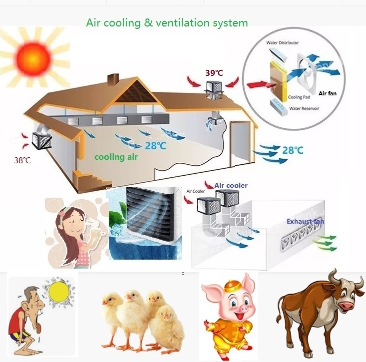 No.1 aux air conditioner with refrigerator parts   Evaporator 20K cmh air flow large volume desert air cooler