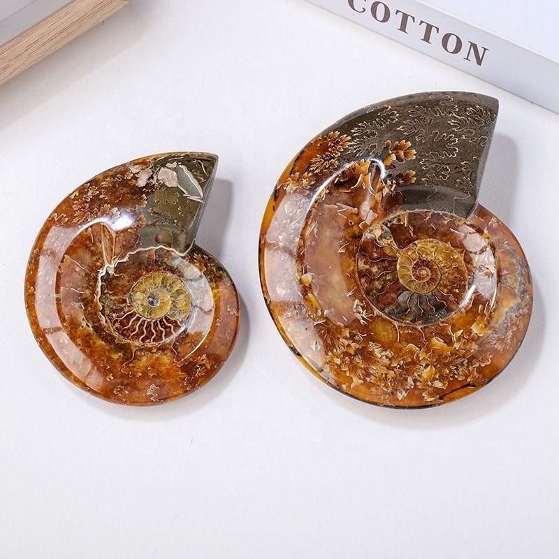 New arrivals folk crafts crystals healing stones natural ammonite shell fossils ashtray