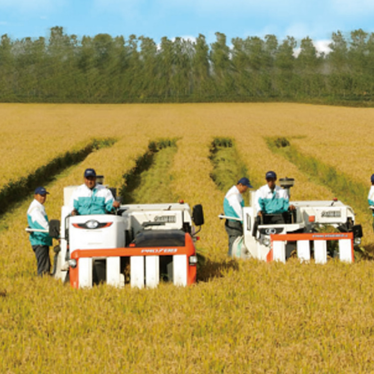 KubotaPRO888GM Used Kubota Lavender Small Combine Harvester Japan Used Sugarcane Harvester Price