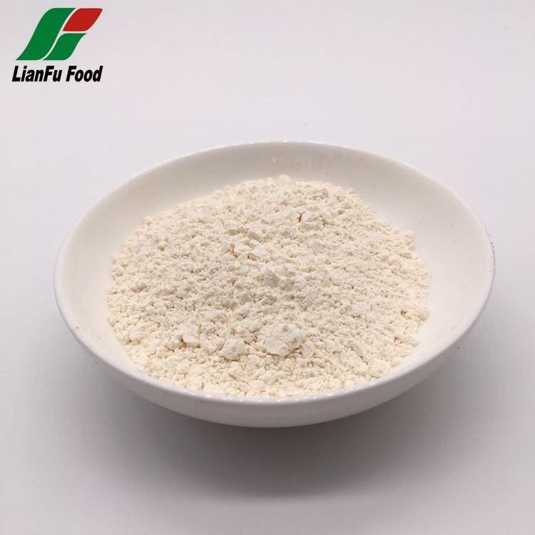 High purity natural bulk dehydrated garlic powder