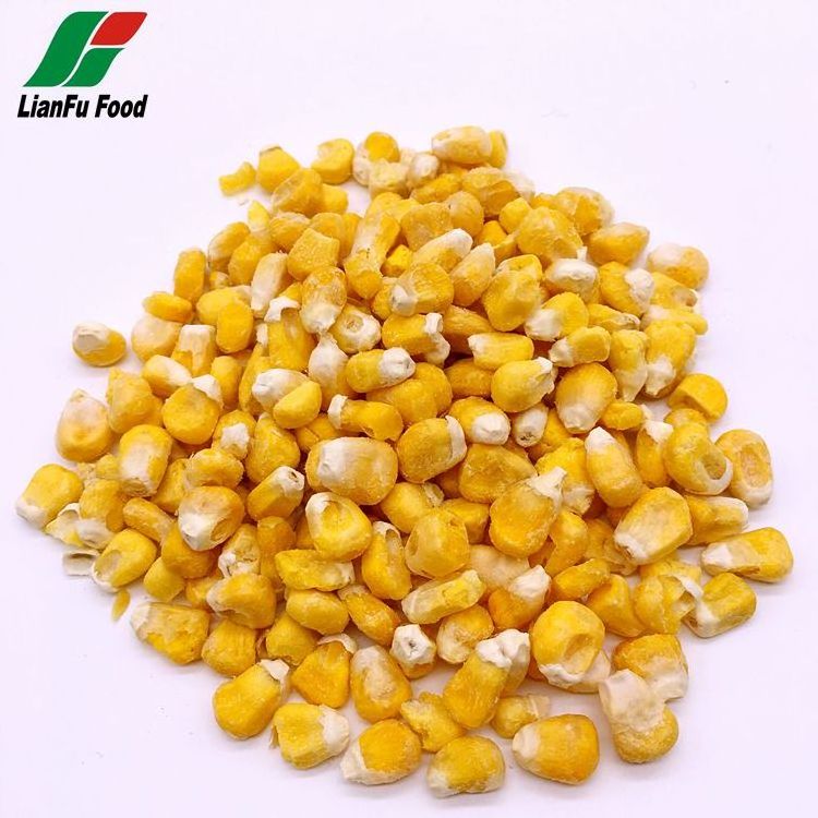 Dried yellow sweet yellow corn, Yellow Maize