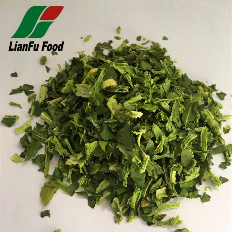 AD Spinach leaves Dried spinach leaf Dehydrated Spinach flakes