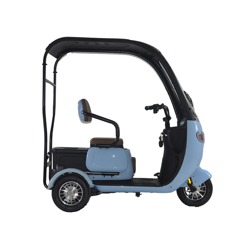 2023 Popular 3 Wheels Electric Tricycle 48V 500W Electric Tricycle Three Wheel Scooter With Roof