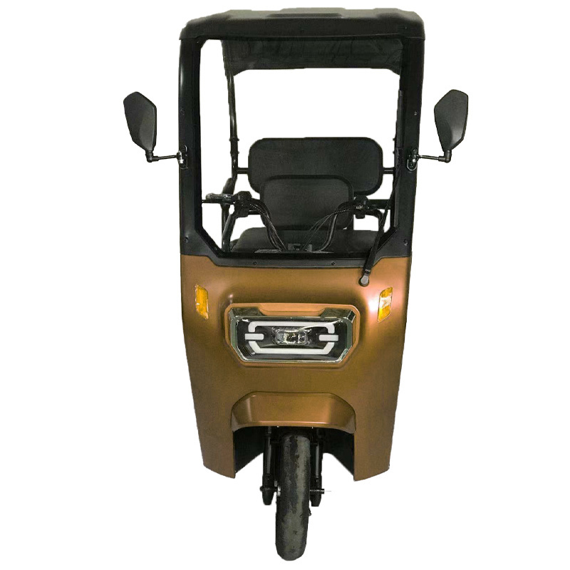 New Design 3 Wheel Leisure Tricycle Electric 3 Wheel For Sale