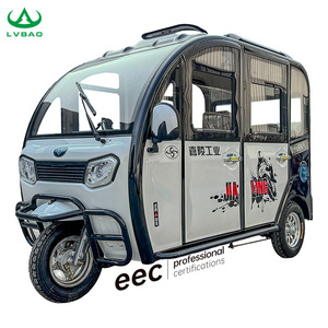 Lb-Zr5D Three Wheels Adults Passenger Cheap Electric Tricycle Motorcycle Rickshaw Fully Enclosed Mobility Electric Scooters Moto