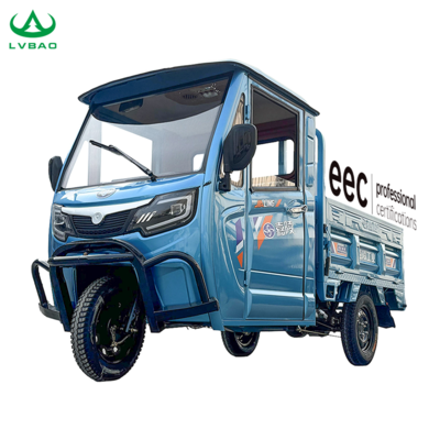 LB-QFB160M Fast Delivery Adults Tricycle 3 Wheel Electric Truck Cargo/Trike with Enclosed Drive Cabin