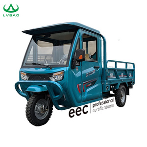 LB-3W6D Cheap factory price Wholesale 3 three wheel cargo enclosed electric bike tricycle