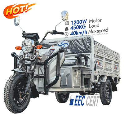 LB-LB160GY Electric Cargo Tricycle for Delivery, 1.6m Length 1500W High Load Bearing with Protective Features