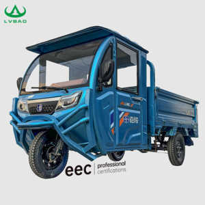 LB-QFB180 New style dump electric motor tricycle closed driving 60V voltage cargo electric tricycle