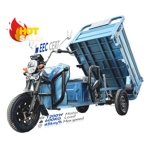 LB-ZZ160 High Quality Motorcycle Tricycle 3 Wheel Cargo for Adult Motorised Tricycle Steel Box Frame Power Battery Engine