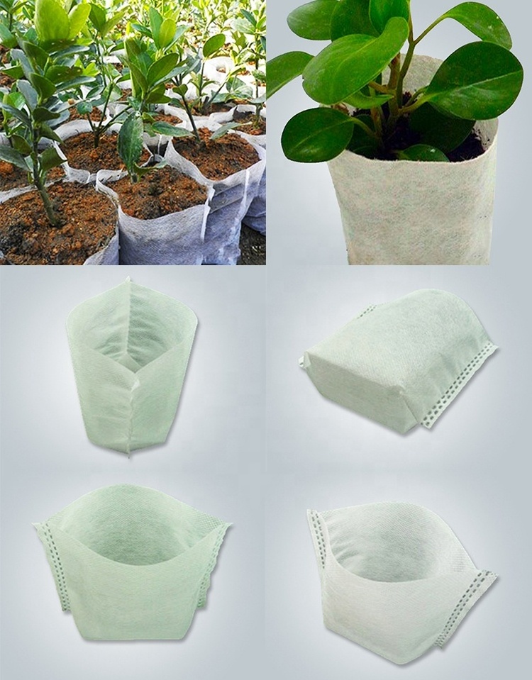 Agricultural Non Woven Plant Covers Freeze Uv Plastic Protection Mulch Tunnel Greenhouse For Green Agriculture