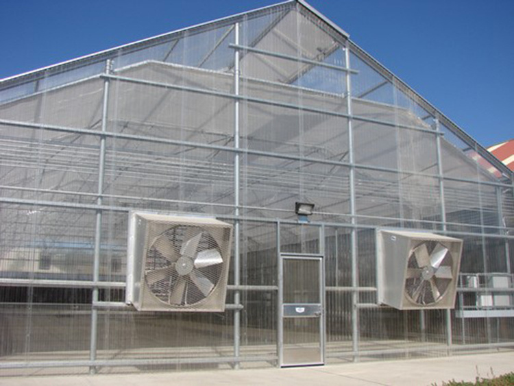 Exhaust Fan Cooling Exhaust Fan Agricultural Used Cooling Greenhouse Fan for sale