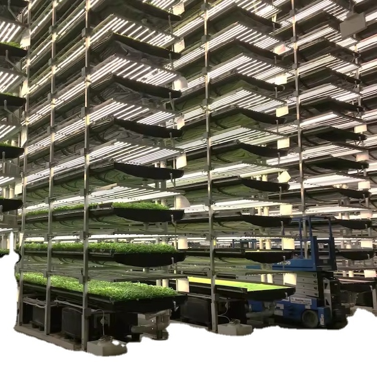 Smart farm container vertical farming growing shipping container hydroponic container farm