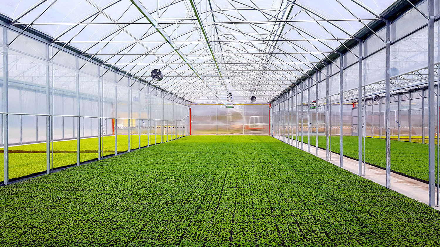 Factory Sale Various Widely Used Agriculture Multi Span Plastic Film Greenhouse Greenhouse