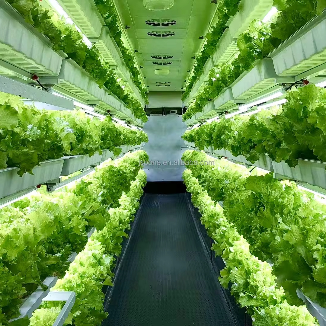 Smart farm container vertical farming growing shipping container hydroponic container farm