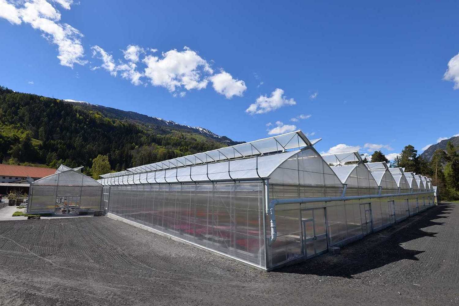 Factory Sale Various Widely Used Agriculture Multi Span Plastic Film Greenhouse Greenhouse