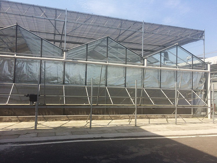 Hot Sale Quality Function Modern Type Greenhouse Industrial Cover Agricultural Greenhouses Glass Greenhouse Used