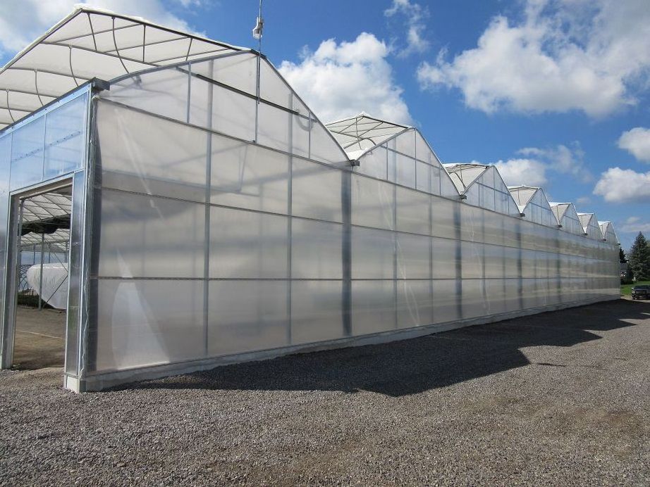 Factory Sale Various Widely Used Agriculture Multi Span Plastic Film Greenhouse Greenhouse