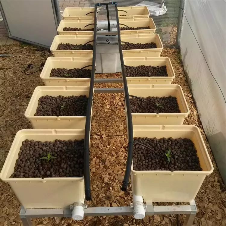 One One Complete Automatic Hydroponic Dutch Bucket Planting System for Home Use and Farms Greenhouse Vegetable Growing