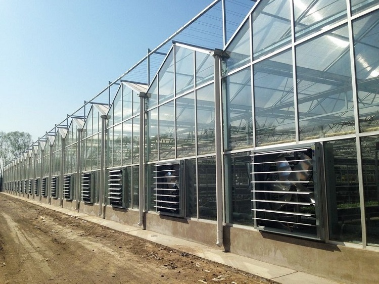 Hot Sale Quality Function Modern Type Greenhouse Industrial Cover Agricultural Greenhouses Glass Greenhouse Used