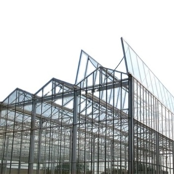 Hot Sale Quality Function Modern Type Greenhouse Industrial Cover Agricultural Greenhouses Glass Greenhouse Used