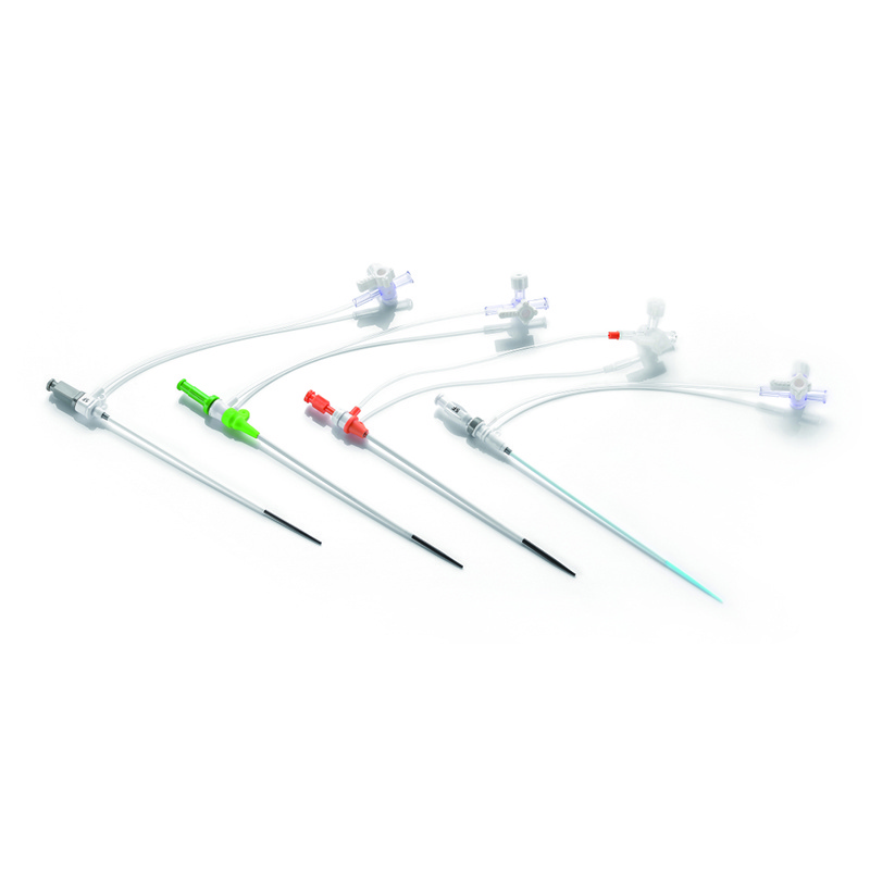 Medical Cardiology Interventional Introduer Set Disposable Radial Introducer Sheath Set