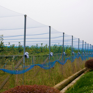 Heavy duty Reusable 100% HDPE anti bird protection mist net bird netting agricultural anti bird netting