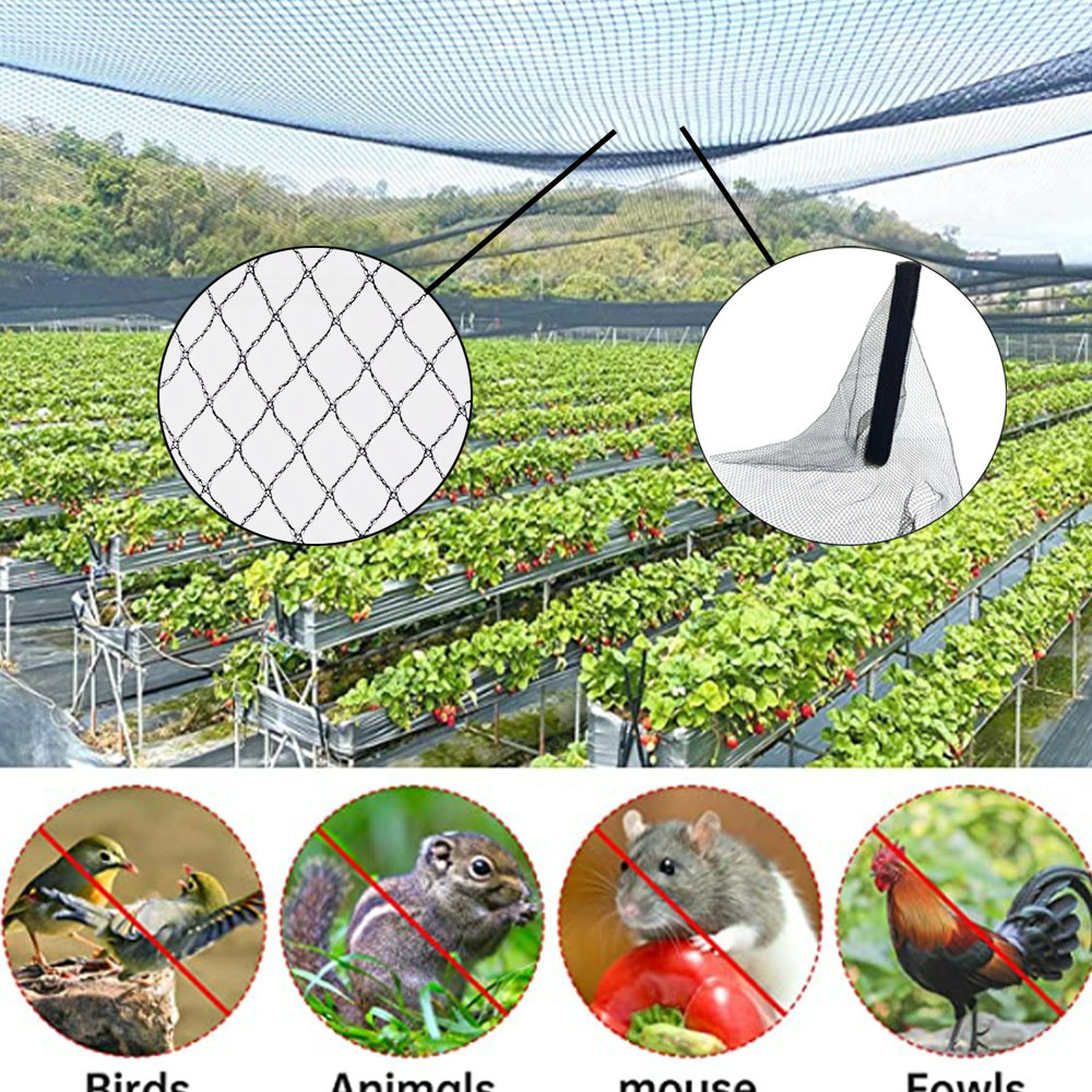 Hot sale Woven knotless black square grapes heavy duty bird control mesh square anti bird net