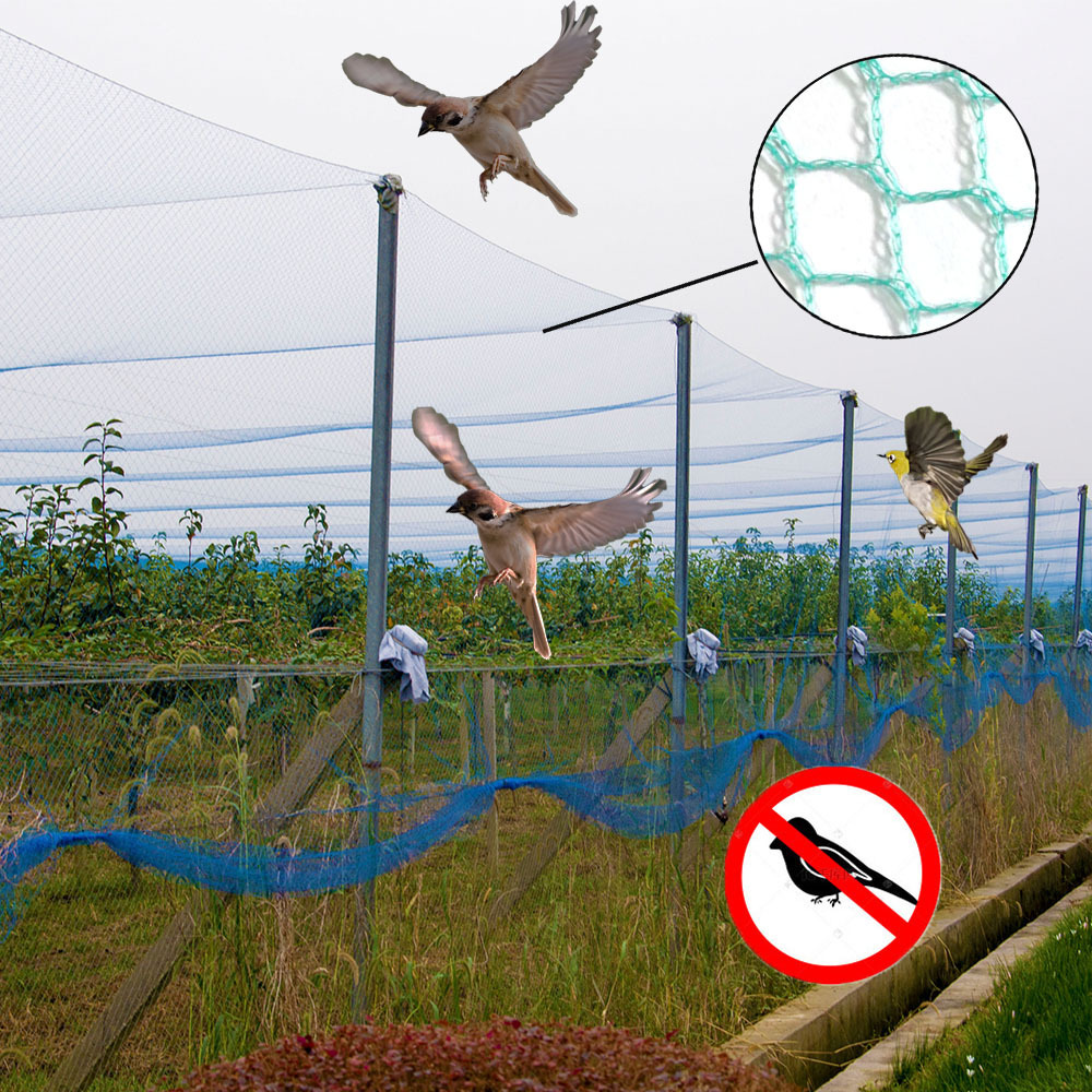 Garden bird netting mist net birds catching Protect Vegetable Fruit Trees  Vineyard Anti Bird Netting