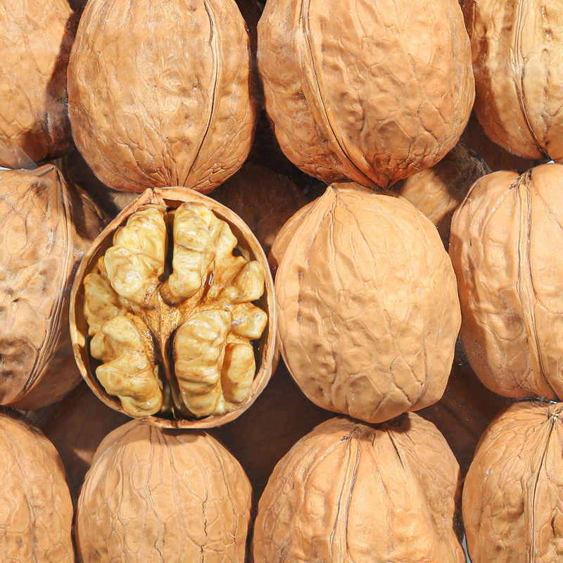 Low price wholesale high quality Chinese organic Walnut and Walnut kernel