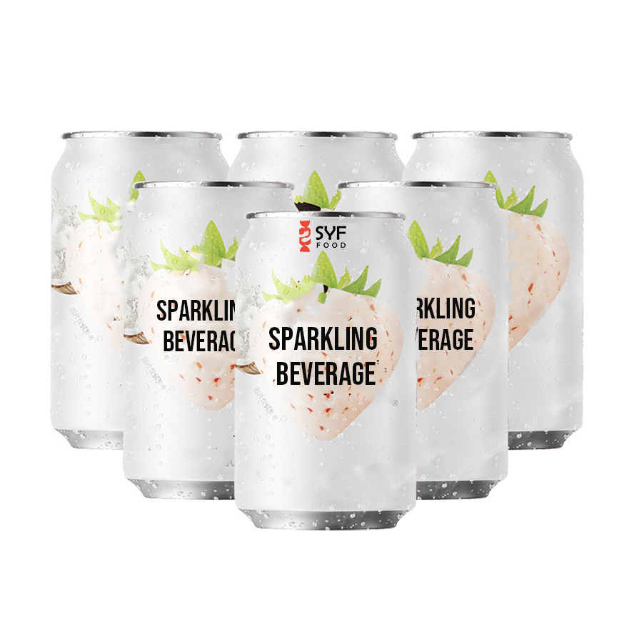 Chinese soda beverage manufacturer wholesale Exotic soft drink sugar-free sparkling water carbonated drinks