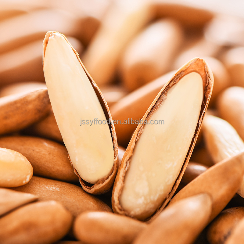 Factory direct sale Pakistan pine nuts OEM bulk Organic Healthy Snacks Pine seeds nuts