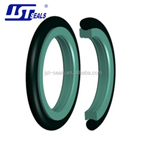 JST seals high-pressure rotary seal