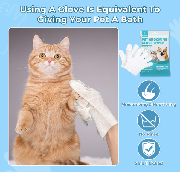 What Vet Groomer Gives Baths to Cats: Trusted Care Experts Revealed