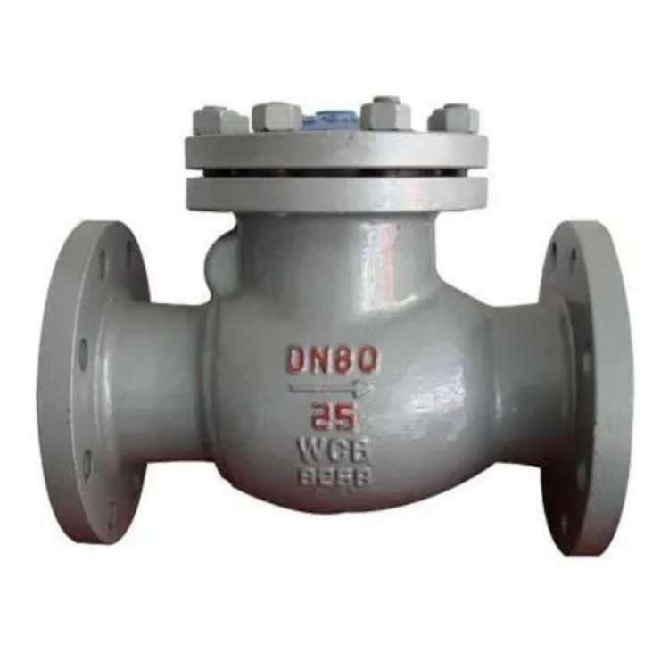 Carbon Steel Stainless Steel Series Hydraulic Swing Lift Horizontal Flanged Check Valve