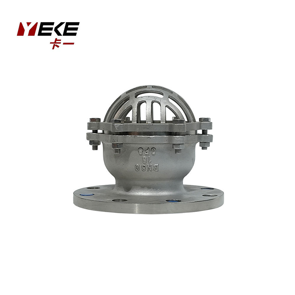 Lift Check Valve Flange Foot Valve PN16 Stainless Steel OEM 6 Inch Check Valve