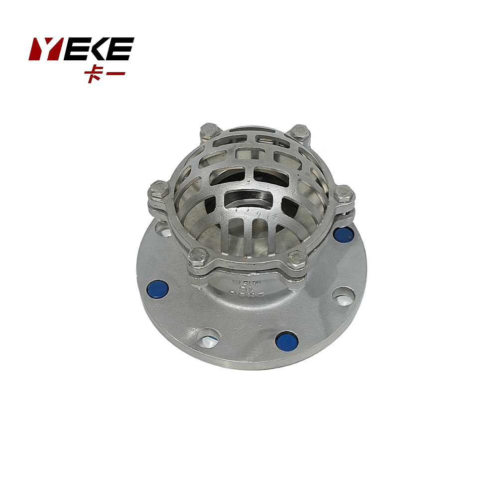 Lift Check Valve Flange Foot Valve PN16 Stainless Steel OEM 6 Inch Check Valve