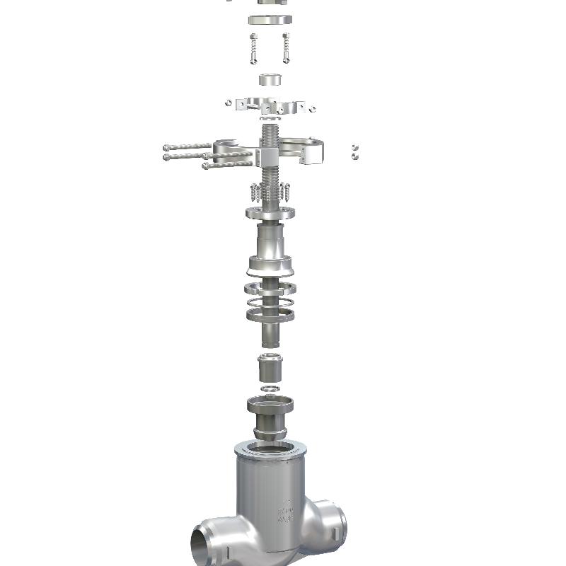 Globe Valve 1 Inch OEM Pvc 4 Inch Check Valve Water Pump General Thread Ends CF8M 316 Stainless Steel with NPT BSP BSPT Female