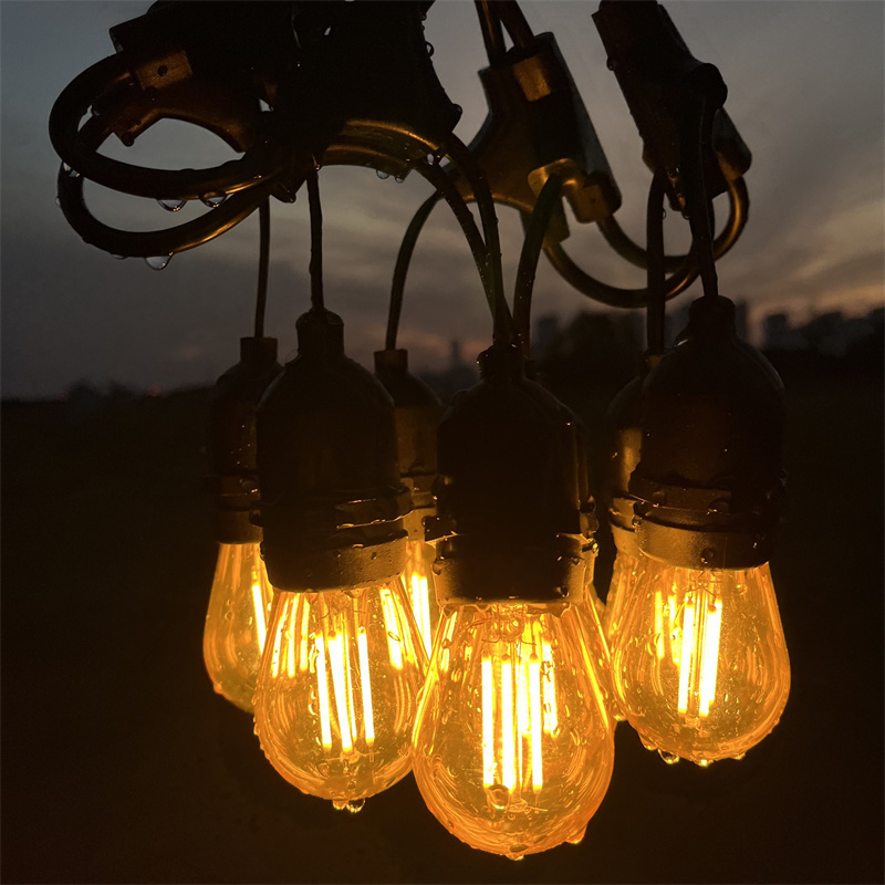 Decorative Custom Filament Bulbs Warm White Plastic Bulb Led String Light Outdoor Garden Lighting Waterproof