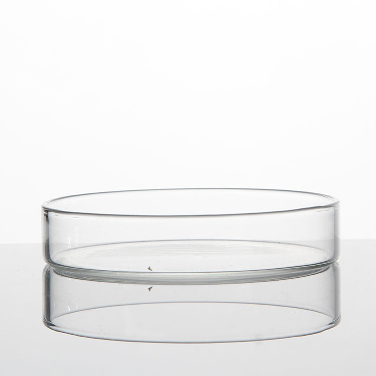 High efficiency laboratory borosilicate glass petri culture dish