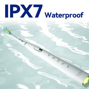 Eco Friendly IPX7 waterproof Rechargeable mini electric toothbrush with 4 Replacement Heads