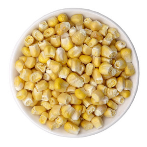 Jintian Good Price Sweet Premium Yellow Freeze Dried Corn Kernels For Distributor