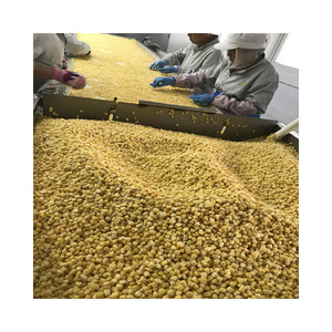 Bulk Packaging And Style Fruits Vegetables Frozen Iqf Corn Kernels In Bulk Pancake