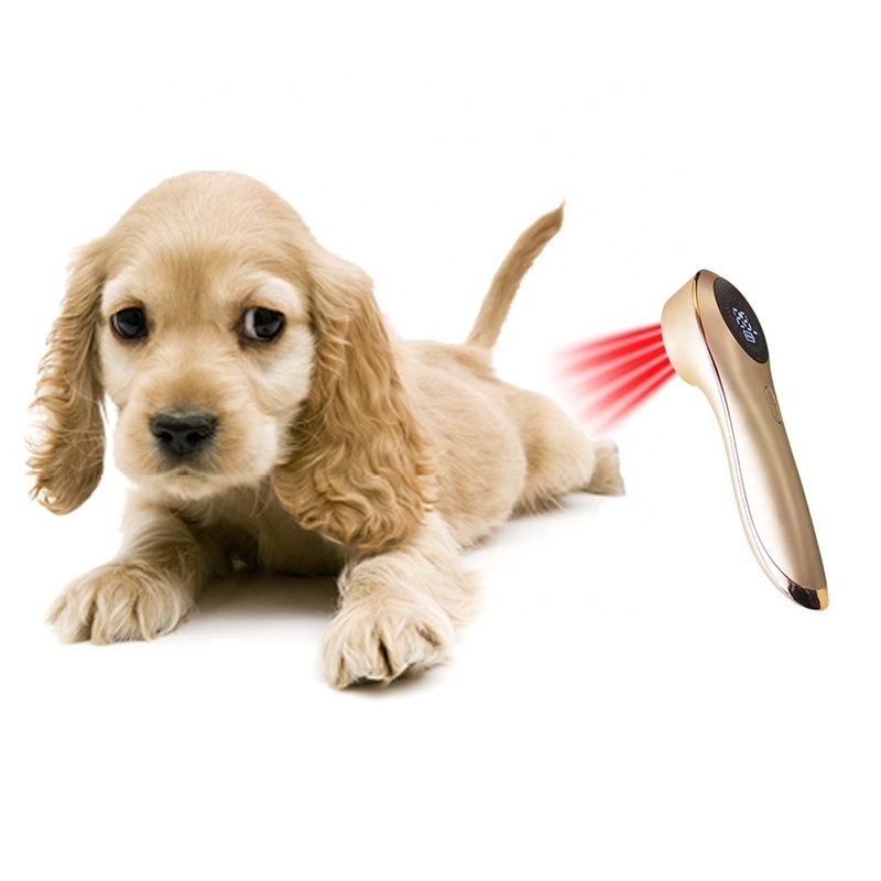 lllt cold laser therapy for pain relief class 3b laser red light therapy dogs veterinary instrument medical equipments