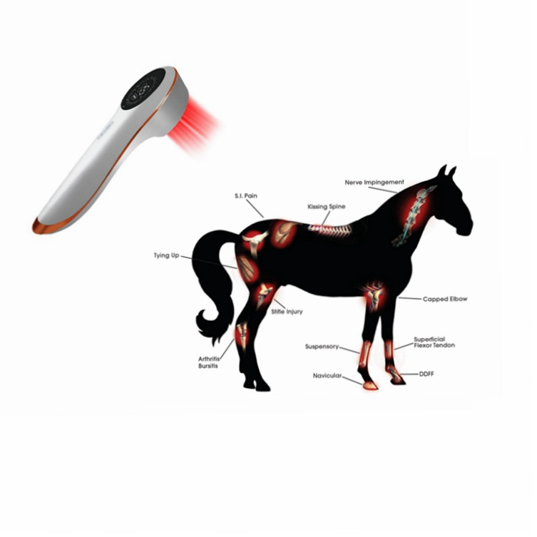 Equine Cold Laser Therapy Class 3B Laser Veterinary Therapeutic Therapi Laser Dogs class 4