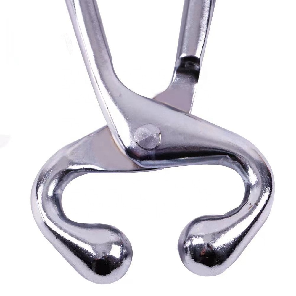 JIATAI  Stainless steel cow tool  bull holder nose ring without chain  for cattle farming equipment