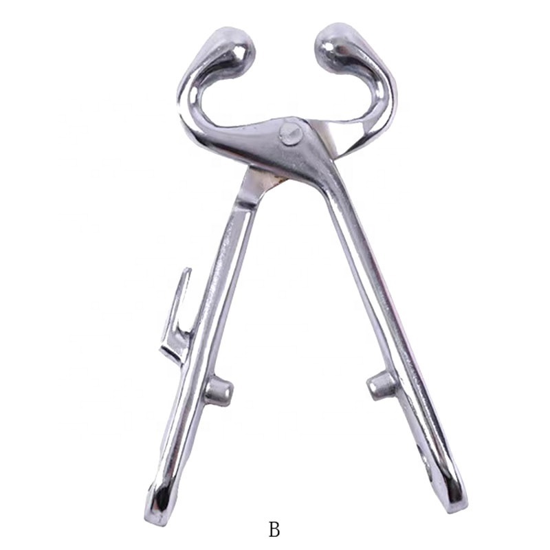 JIATAI  Stainless steel cow tool  bull holder nose ring without chain  for cattle farming equipment